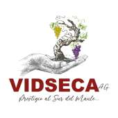 Vidseca